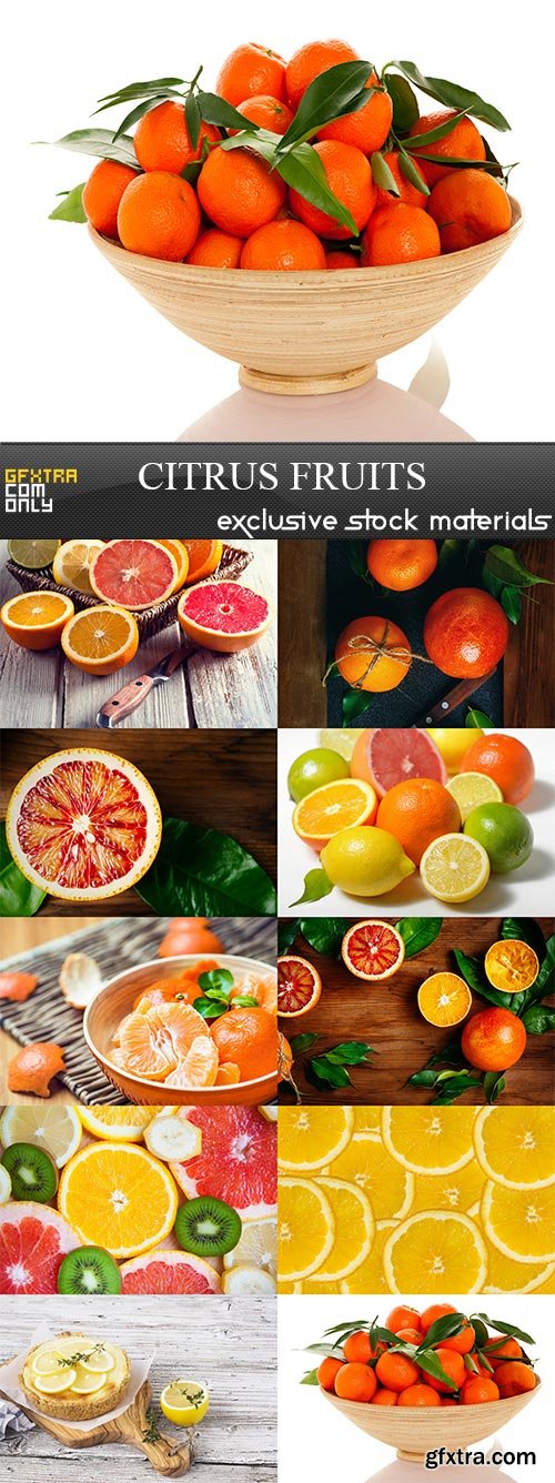 Citrus Fruits, 10 x UHQ JPEG