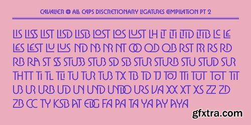 Cavalier Font Family - 5 Font $99