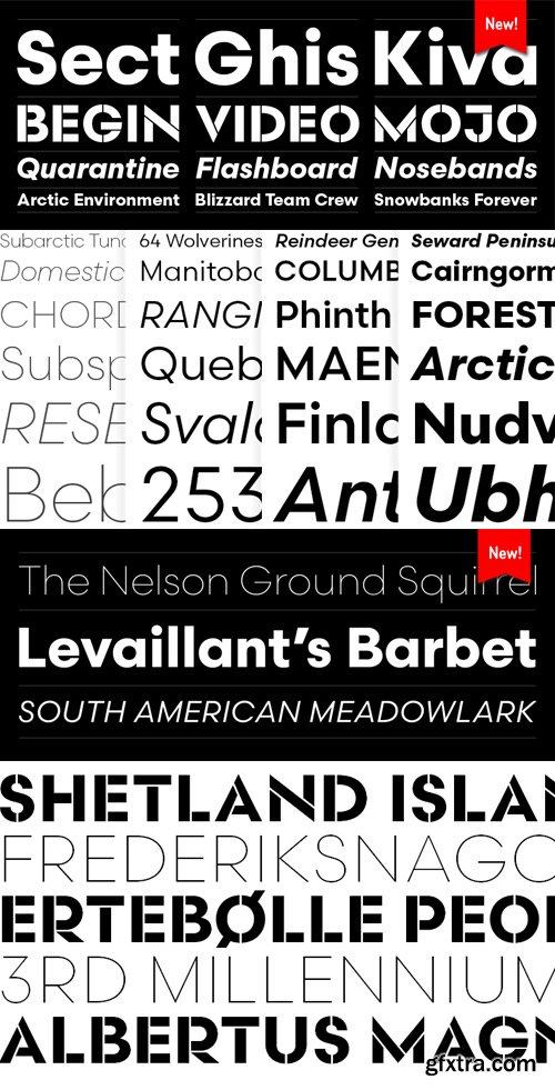 Scandia Font Family $180