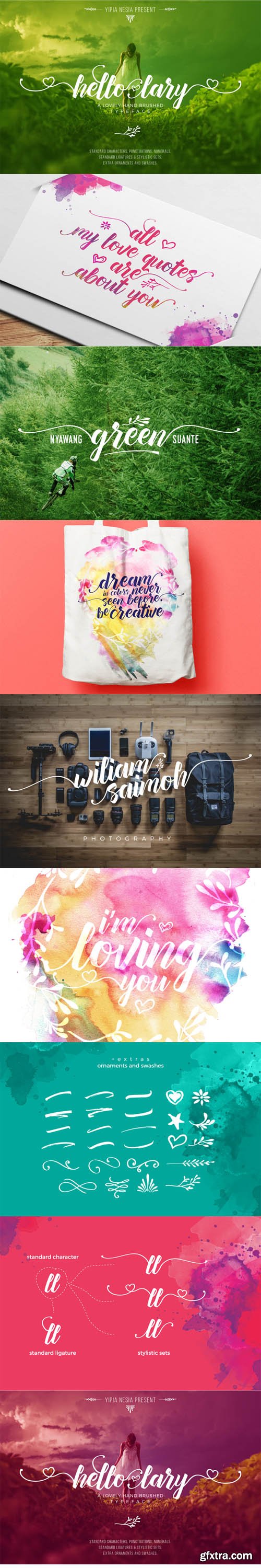 CM - Hello Lary + Ornament and Swashes