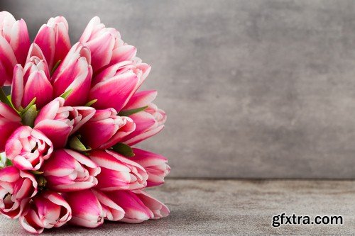 Background with tulips