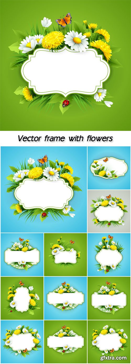 Vector frame with flowers, dandelions and daisies