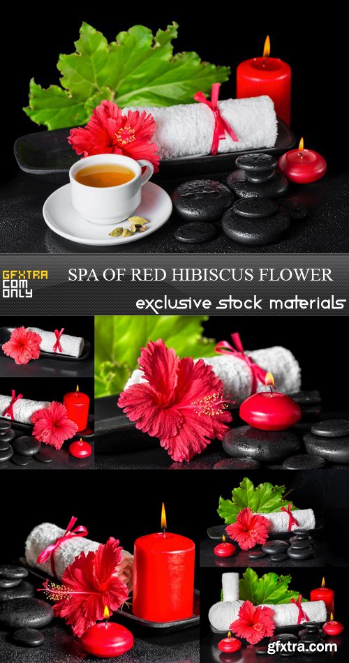 SPA of Red Hibiscus Flower - 7 UHQ JPEG