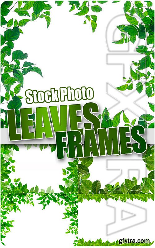 Leaves frames - UHQ Stock Photo