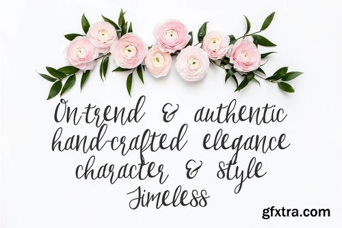 CreativemarketBirchwood Calligraphy Font 550314