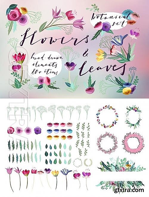 CM - Flowers & Leaves Vector Set 585287 CM - Flowers & Leaves Vector Set 585287