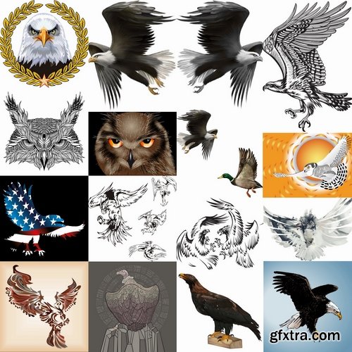 Collection of bird of prey eagle owl vector image 25 EPS