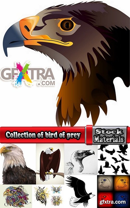 Collection of bird of prey eagle owl vector image 25 EPS