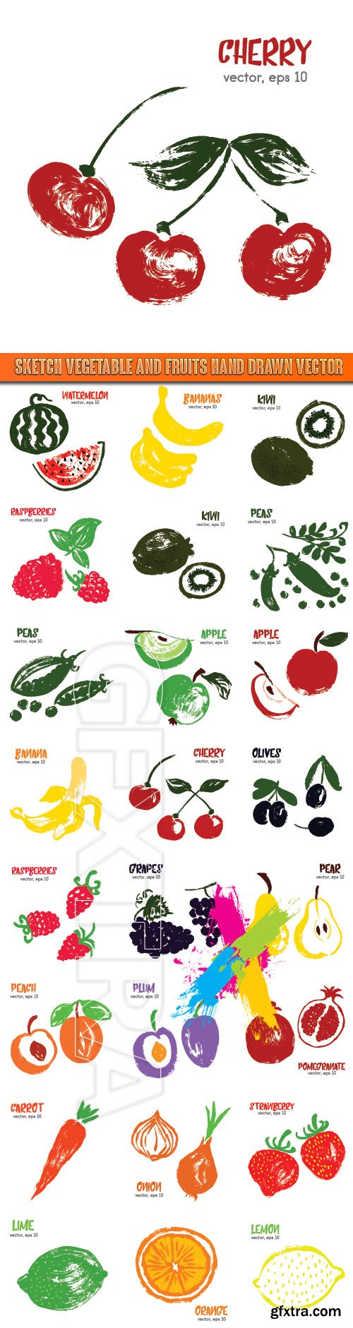 Sketch vegetable and fruits hand drawn vector