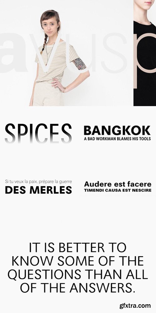 Avus Pro Font Family $780