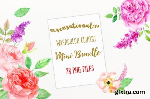 CreativeMarket Watercolor Mini Bundle Sensational 564861