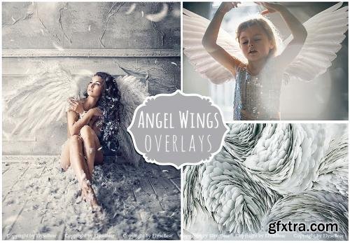 15 White Angel Wings Overlays PNG 164327