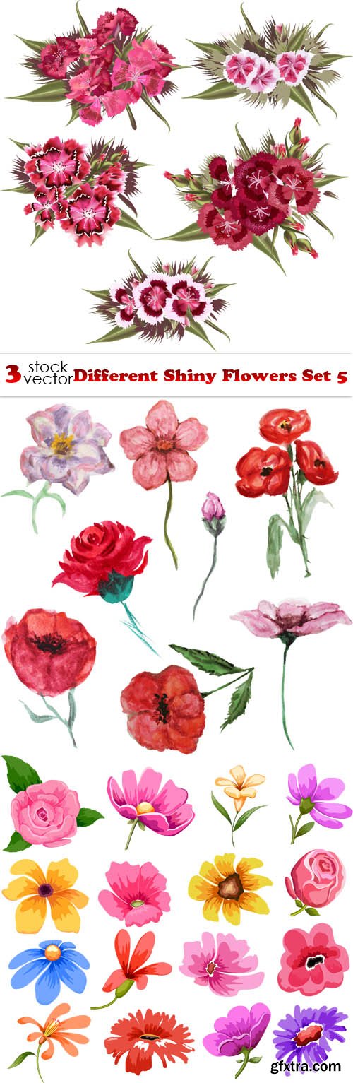 Vectors - Different Shiny Flowers Set 5
