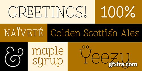 Pleuf Pro Family 8 Fonts