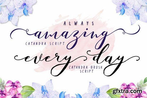 CM - Catandra Script_Update 605165