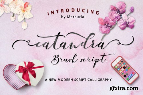 CM - Catandra Script_Update 605165