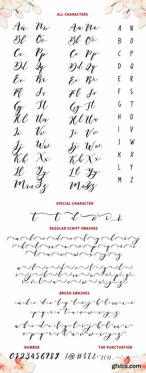 CM - Catandra Script_Update 605165