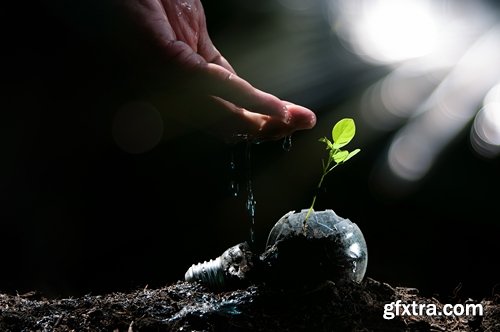 Collection of a man watering a plant gardening sprout a germ 25 HQ Jpeg
