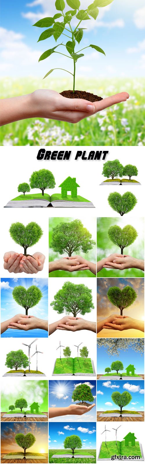 Green Plant in Hand, Concept of New Life 21xJPG