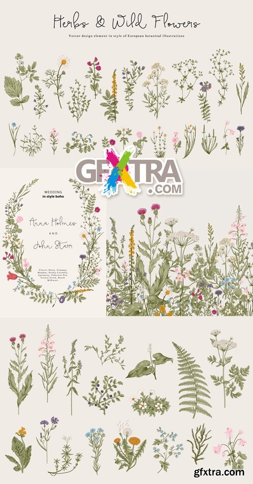 Vintage Backgrounds with Herbs Vector