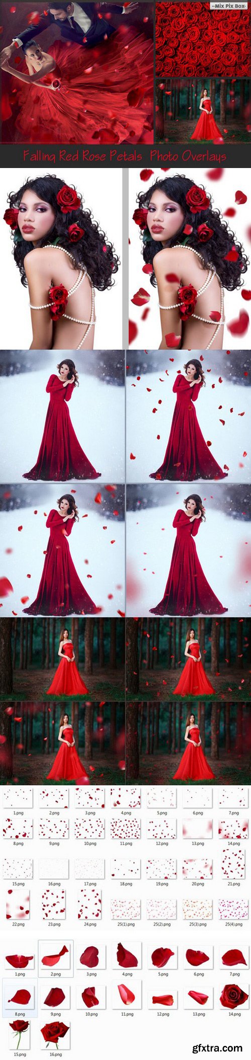CM - Falling Rose Petals Photo Overlays 644178