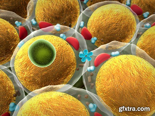 Virus and Microorganisms - 25xUHQ JPEG