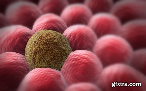 Virus and Microorganisms - 25xUHQ JPEG