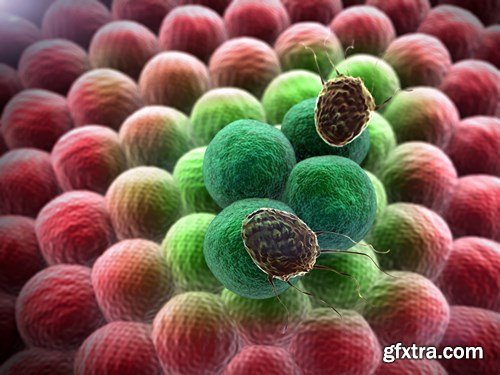 Virus and Microorganisms - 25xUHQ JPEG