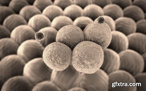 Virus and Microorganisms - 25xUHQ JPEG