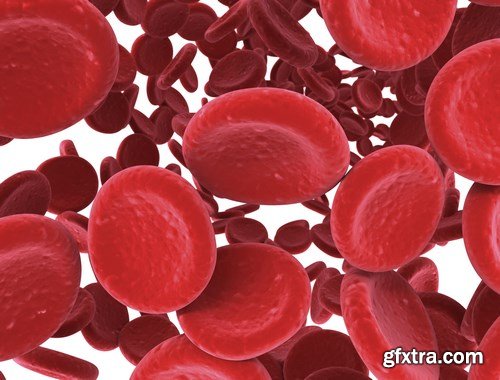 Virus and Microorganisms - 25xUHQ JPEG