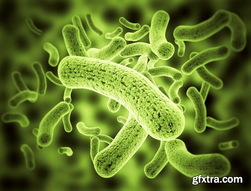 Virus and Microorganisms - 25xUHQ JPEG