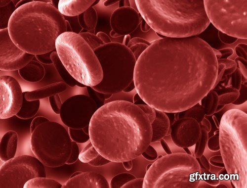 Virus and Microorganisms - 25xUHQ JPEG