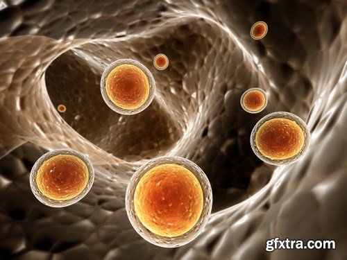 Virus and Microorganisms - 25xUHQ JPEG