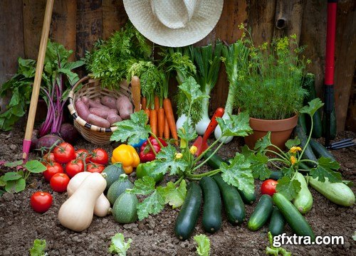 World of Tasty Food 14 - 25xUHQ JPEG World of Tasty Food 14 - 25xUHQ JPEG