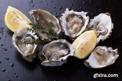 World of Tasty Food 14 - 25xUHQ JPEG World of Tasty Food 14 - 25xUHQ JPEG