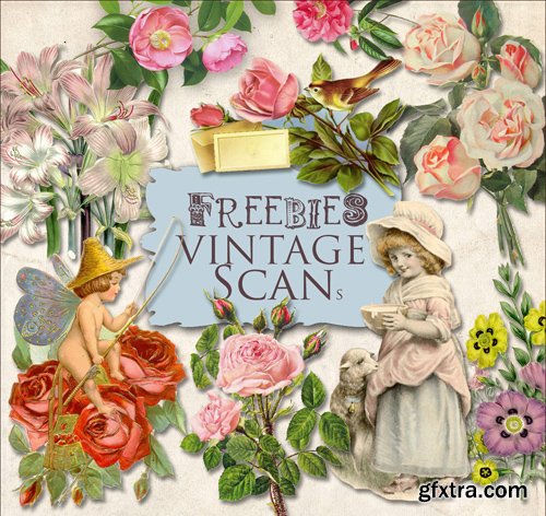 Scrap Kit - Vintage Flower Illustrations