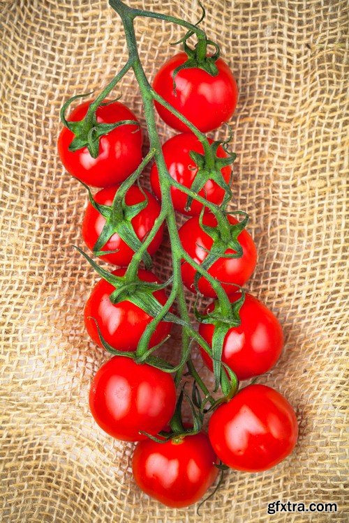Tomatoes-7xJPEGs