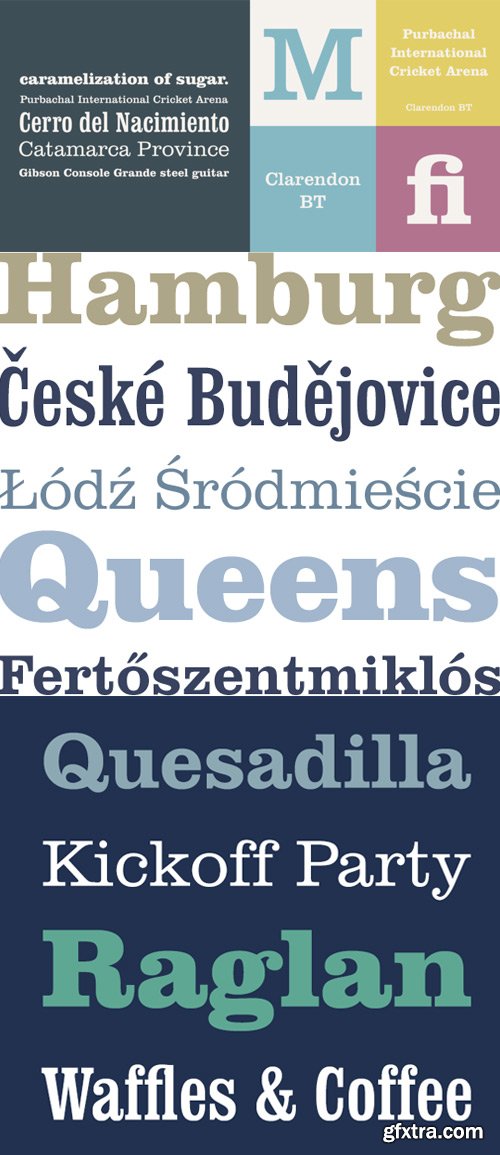 Clarendon BT Pro Font Family $199