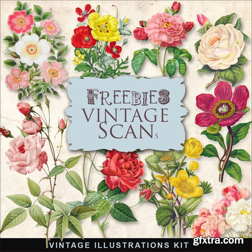 Scrap Kit - Vintage Flower Illustrations, part 2