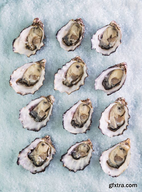 World of Tasty Food 17 - 25xUHQ JPEG World of Tasty Food 17 - 25xUHQ JPEG