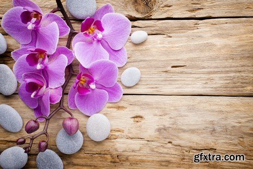 Orchid & SPA Backgrounds - 25xUHQ JPEG
