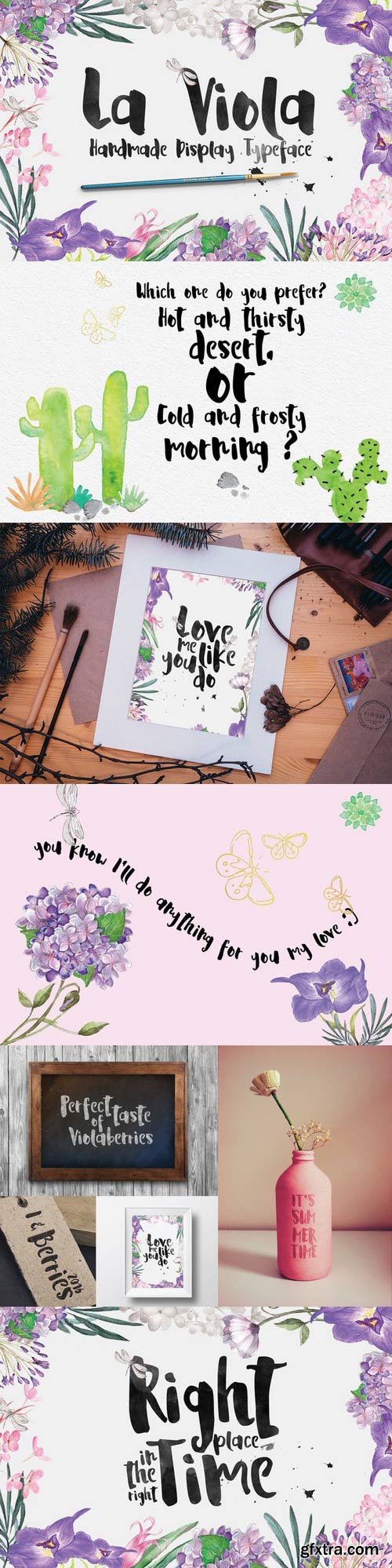 CM - La Viola Typeface 654716 CM - La Viola Typeface 654716