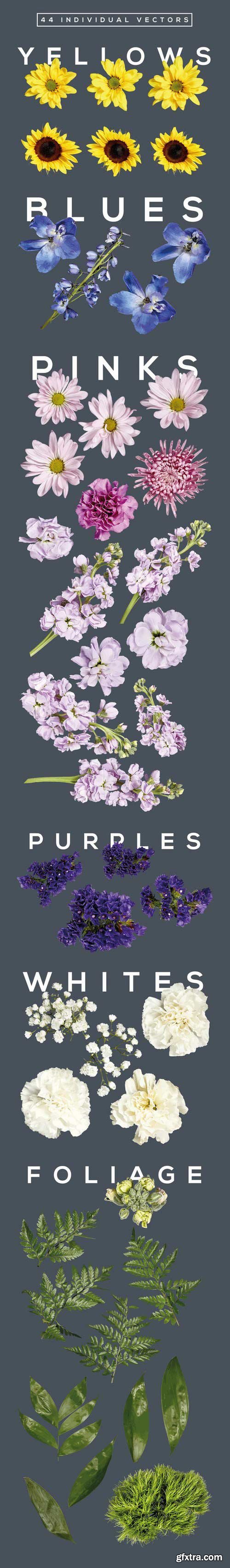 CM - FlowerType for Illustrator 655881 CM - FlowerType for Illustrator 655881