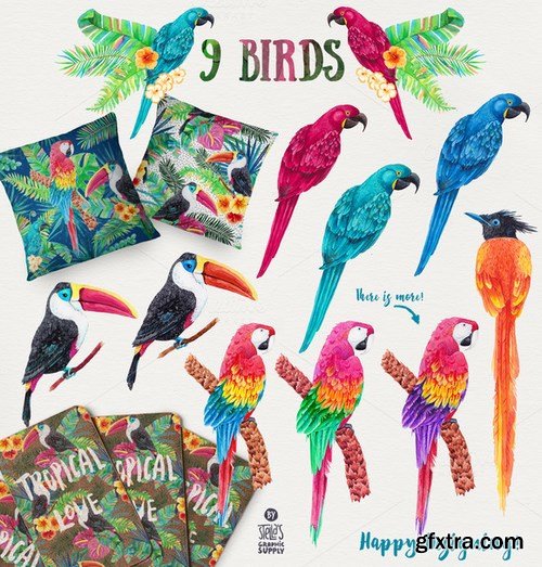 CM - Tropical Inspiration 656558