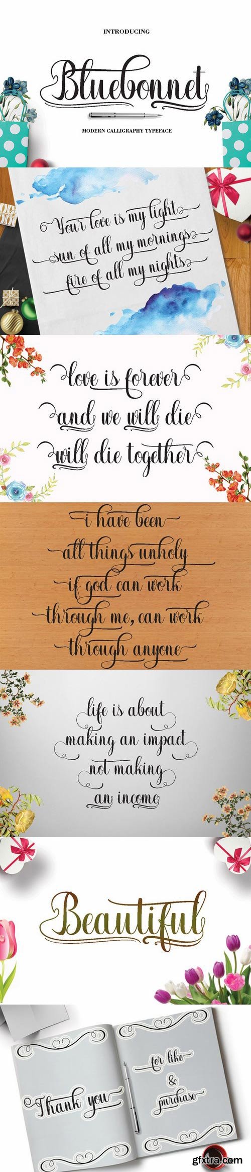 CM - Bluebonnet 661183 CM - Bluebonnet 661183