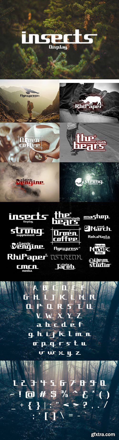 CM - insects font 666111 CM - insects font 666111