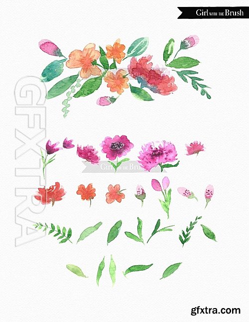 CM - Watercolor Floral Clipart Bundle 673700