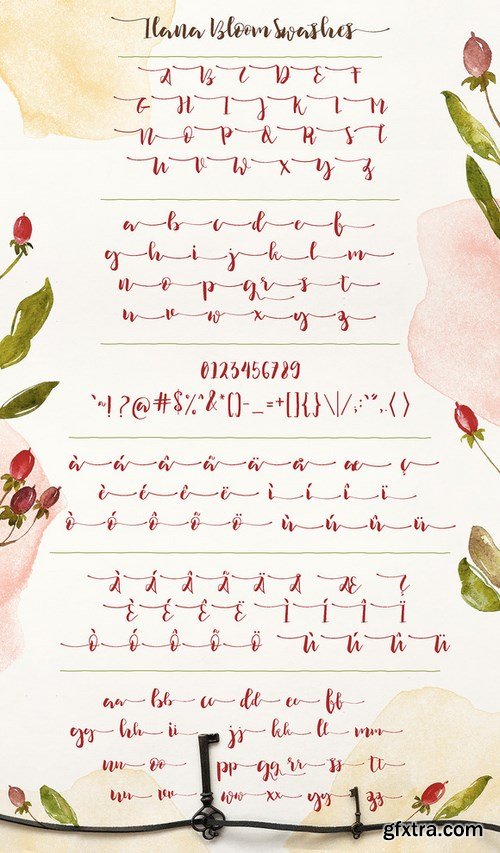 CM - Ilana Bloom 674316 CM - Ilana Bloom 674316