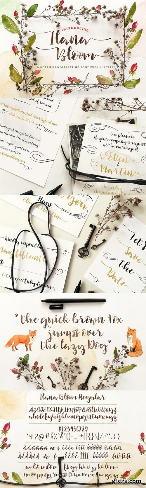 CM - Ilana Bloom 674316 CM - Ilana Bloom 674316