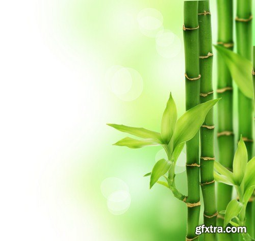 Bamboo forest 7X JPEG